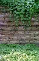 藏品(1950至2006年臺灣常民生活)的圖片