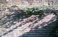 藏品(1950至2006年臺灣常民生活)的圖片