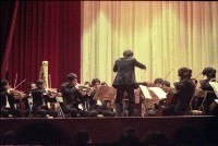 藏品(1950至2006年臺灣常民生活)的圖片