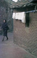 藏品(1950至2006年臺灣常民生活)的圖片