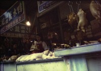 藏品(1950至2006年臺灣常民生活)的圖片