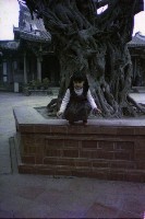 藏品(1950至2006年臺灣常民生活)的圖片