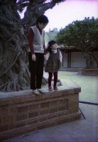 藏品(1950至2006年臺灣常民生活)的圖片