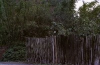 藏品(1950至2006年臺灣常民生活)的圖片