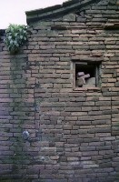 藏品(1950至2006年臺灣常民生活)的圖片