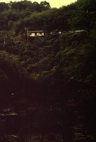 藏品(1950至2006年臺灣常民生活)的圖片