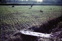 藏品(1950至2006年臺灣常民生活)的圖片