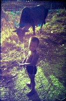 藏品(1950至2006年臺灣常民生活)的圖片