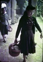 藏品(1950至2006年臺灣常民生活)的圖片