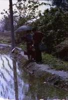 藏品(1950至2006年臺灣常民生活)的圖片