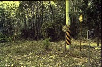 藏品(1950至2006年臺灣常民生活)的圖片