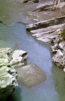 藏品(1950至2006年臺灣常民生活)的圖片