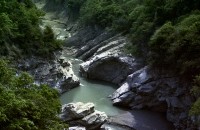 藏品(1950至2006年臺灣常民生活)的圖片