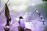 藏品(〈朝はふたたび〉河邊洗衣的婦女（1950至2006年臺灣常民生活）)的圖片