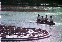 藏品(1950至2006年臺灣常民生活)的圖片