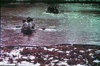 藏品(1950至2006年臺灣常民生活)的圖片