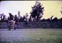 藏品(1950至2006年臺灣常民生活)的圖片