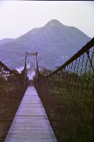 藏品(1950至2006年臺灣常民生活)的圖片