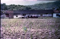 藏品(1950至2006年臺灣常民生活)的圖片