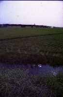 藏品(1950至2006年臺灣常民生活)的圖片