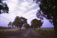 藏品(1950至2006年臺灣常民生活)的圖片