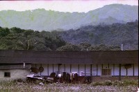 藏品(1950至2006年臺灣常民生活)的圖片