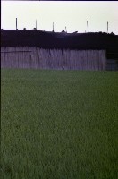 藏品(1950至2006年臺灣常民生活)的圖片