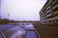 藏品(1950至2006年臺灣常民生活)的圖片