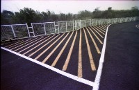 藏品(1950至2006年臺灣常民生活)的圖片