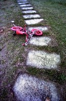 藏品(1950至2006年臺灣常民生活)的圖片