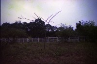 藏品(1950至2006年臺灣常民生活)的圖片