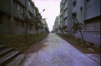 藏品(1950至2006年臺灣常民生活)的圖片