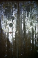 藏品(1950至2006年臺灣常民生活)的圖片