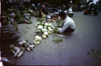 藏品(1950至2006年臺灣常民生活)的圖片