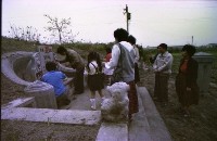 藏品(1950至2006年臺灣常民生活)的圖片