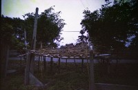 藏品(1950至2006年臺灣常民生活)的圖片