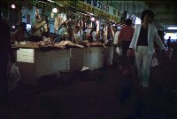 藏品(1950至2006年臺灣常民生活)的圖片