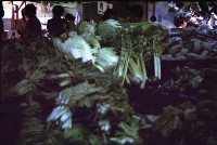 藏品(1950至2006年臺灣常民生活)的圖片