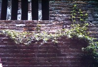 藏品(1950至2006年臺灣常民生活)的圖片