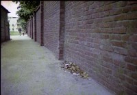 藏品(1950至2006年臺灣常民生活)的圖片