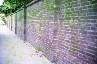 藏品(1950至2006年臺灣常民生活)的圖片