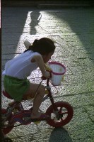 藏品(1950至2006年臺灣常民生活)的圖片