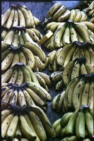 藏品(1950至2006年臺灣常民生活)的圖片