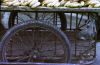 藏品(1950至2006年臺灣常民生活)的圖片