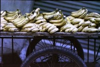 藏品(1950至2006年臺灣常民生活)的圖片