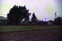 藏品(1950至2006年臺灣常民生活)的圖片