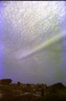 藏品(1950至2006年臺灣常民生活)的圖片