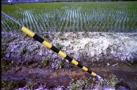 藏品(1950至2006年臺灣常民生活)的圖片