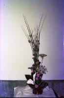 藏品(1950至2006年臺灣常民生活)的圖片