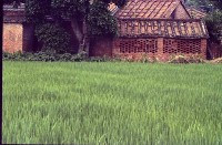 藏品(1950至2006年臺灣常民生活)的圖片